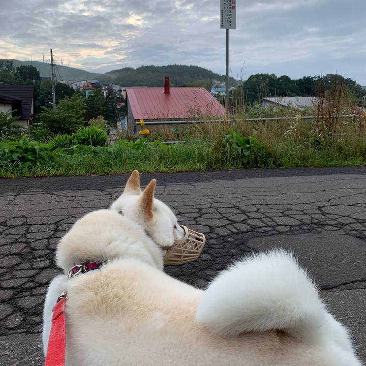 2e87b5c2 4799 462d bd45 930134447015 1599253197043