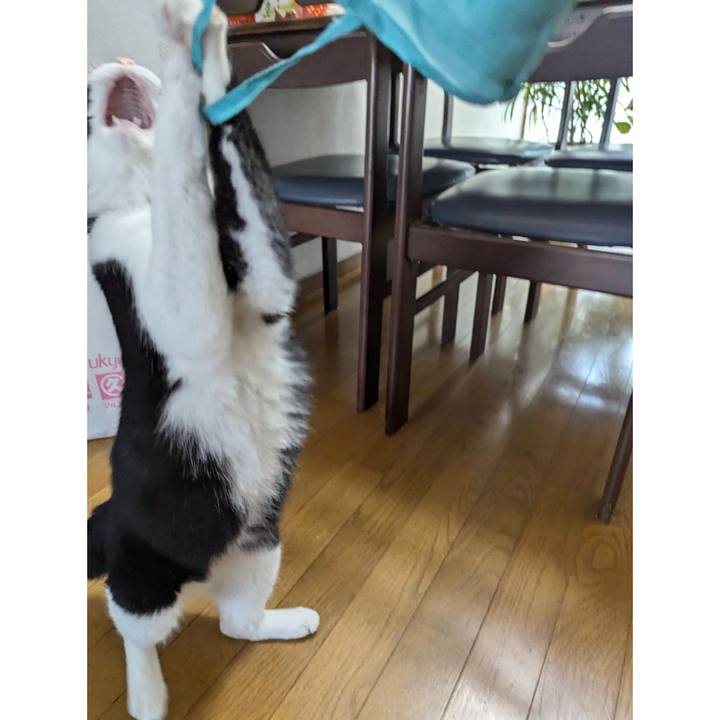 2e87ce72 667c 44bf 9513 d6adc84f9642 1722734238116