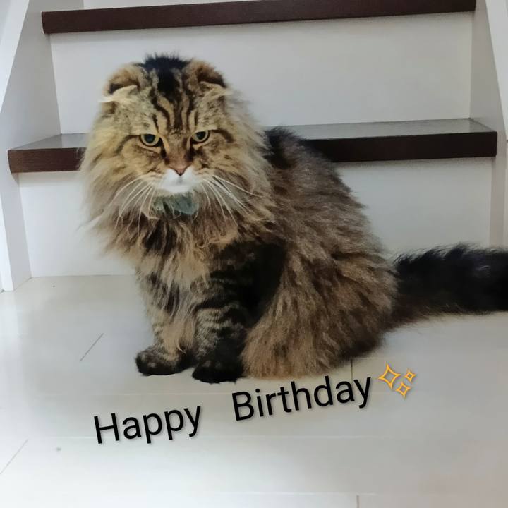 2e87d219 ca54 4942 af7b c102ff075609 1760061660060