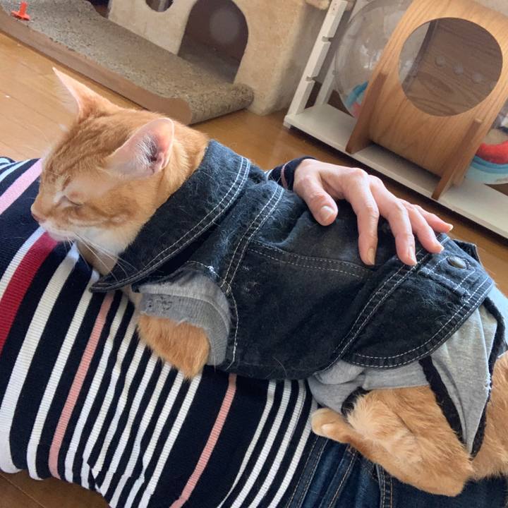 2e880931 03d0 4e86 adce ca30c2021cda 1652585338146