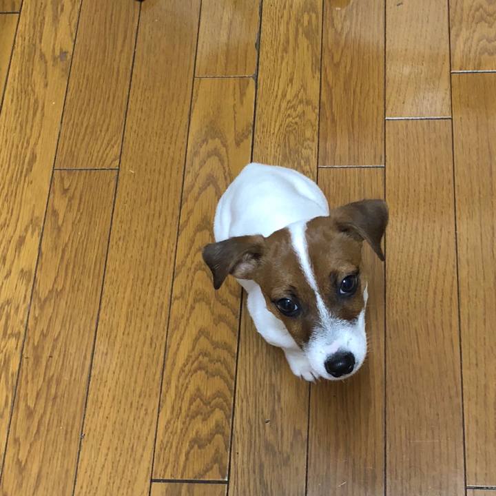 2e8819f9 3d20 4c24 983c 2d72e119707b 1513983834632