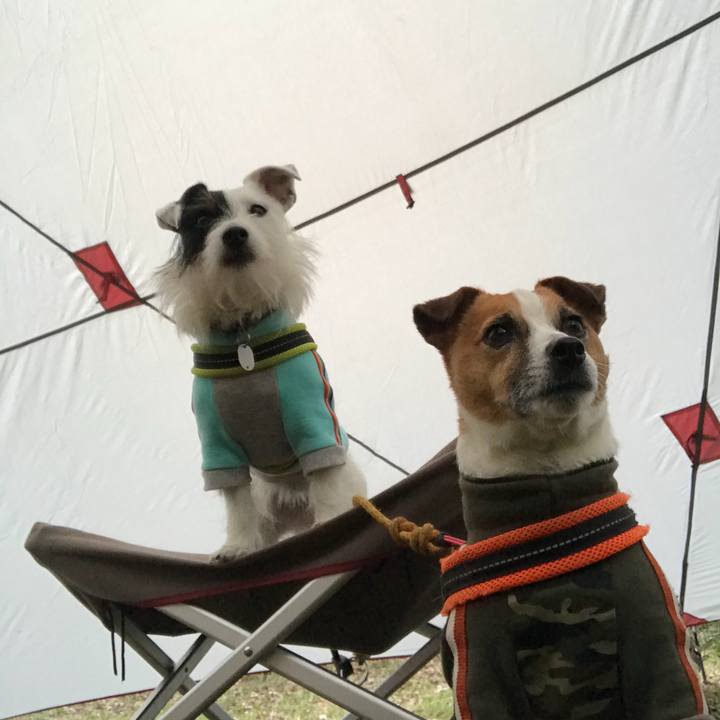 2e885542 1f11 428f a957 044798a81f6d 1522498658502