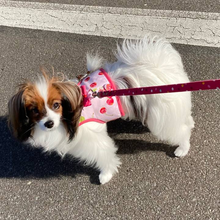 2e885cbc 68bc 4eb2 9dcd 75f2420cf505 1635036698495