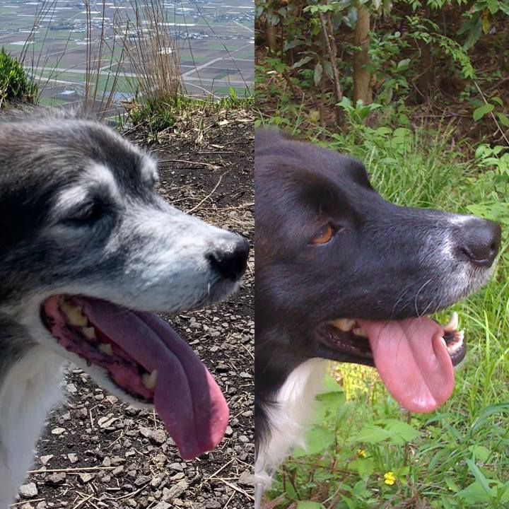 2e887cce 40ef 4043 bde1 69c4e4107894 1618916602234