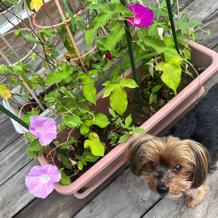 2e88ad38 e9ba 470b 989a d08fbfe74044 1722302151731