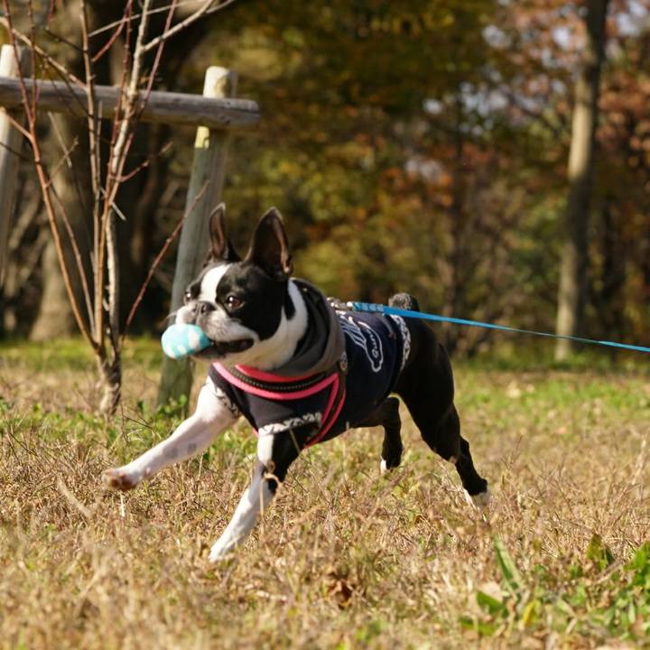 2e88c2e9 e04f 4c00 b470 1a5b8c355259 1512290631383