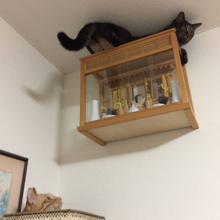 2e88c706 8398 4ba2 82e0 d9cbffc7c0bc 1542237055841