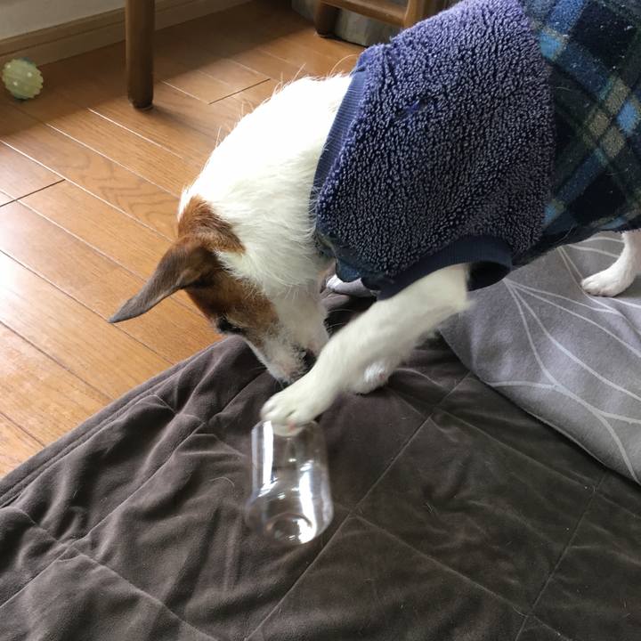 2e88e8b3 4e18 4fee 87ef 9d117baa0e76 1554176319876