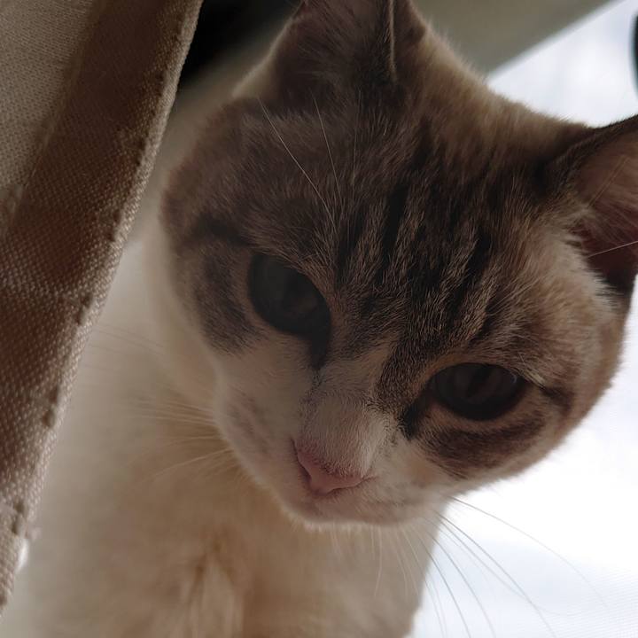 2e88f454 a3d5 4f55 ac74 25ea33aea2d5 1663972064011