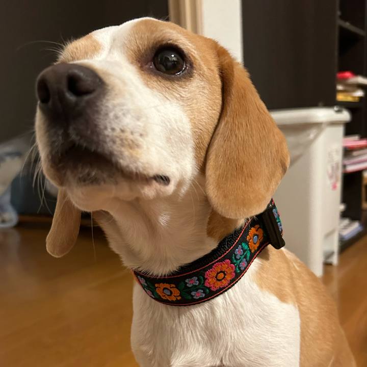 2e893f9b 68a3 4f11 b9f2 2c4d74b97f5a 1674465105339