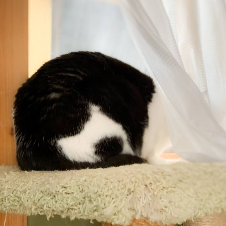 2e899568 393c 48e3 9c61 18faef2c5e90 1590371066598