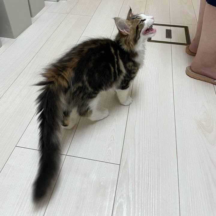 2e89abe1 7c46 446f 9fcb f220dfc8c65f 1633032282155