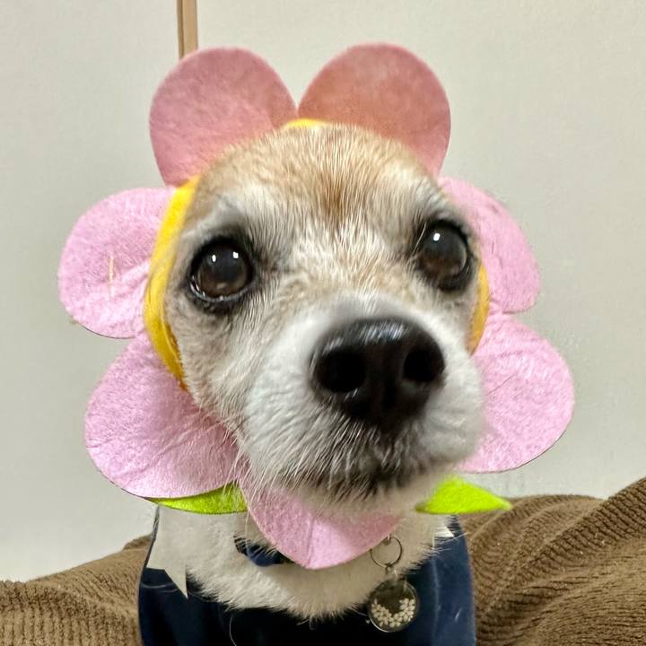 2e89d494 b7db 4505 abbe 77b3f6108b40 1679395223810