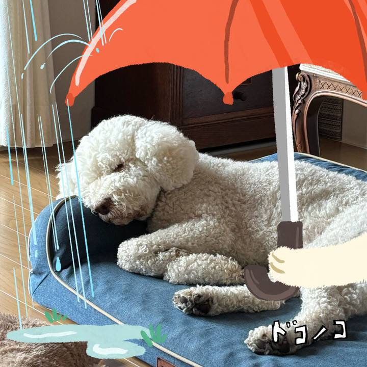 2e89ee4c 6151 4f9b 9317 6ebeaa65d687 1749283926466