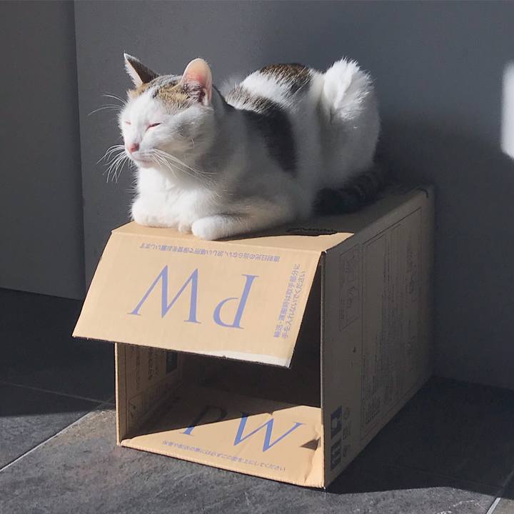 2e8a06f2 0214 4371 bcc7 c6bd60fde1a5 1545362345091