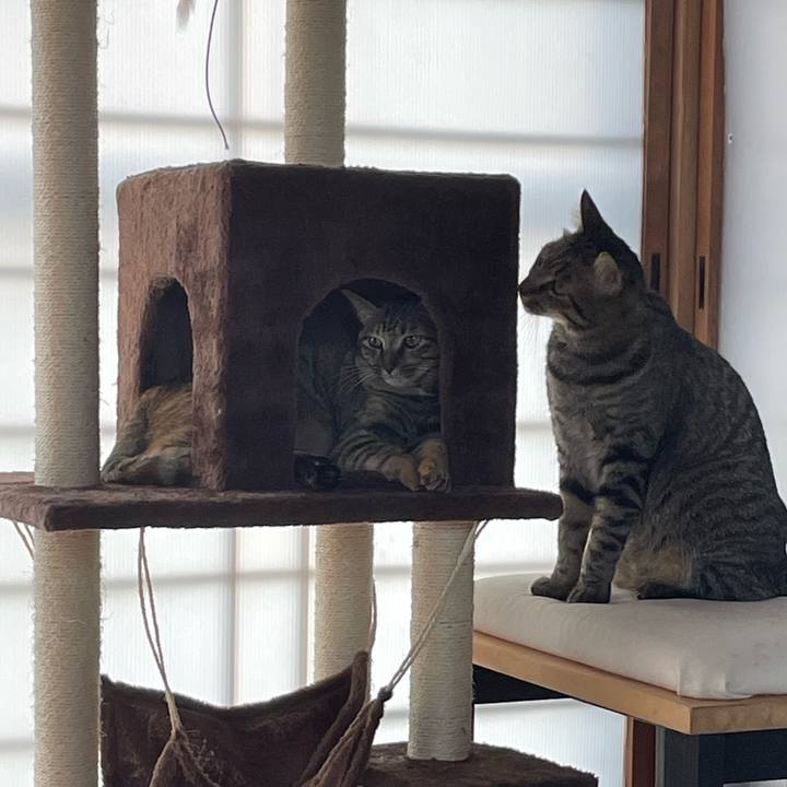 2e8a36b5 bfc7 4ef1 b3e2 16490d2cb7cf 1759192853161