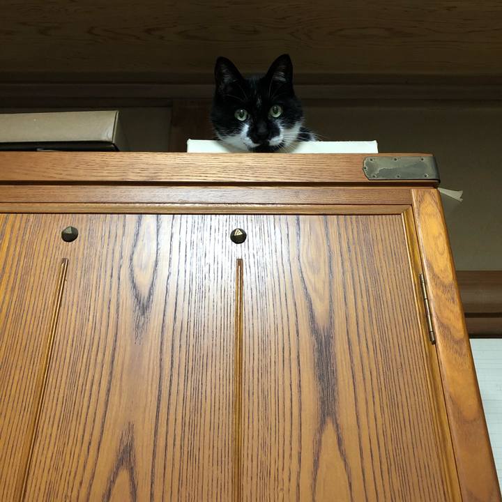 2e8a7ee1 1a8d 42b4 942f 13f9c2d9b167 1593315987254