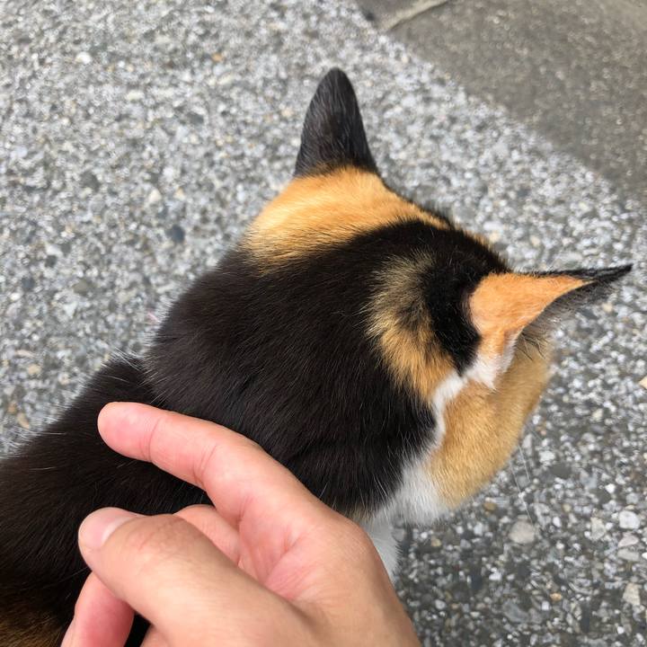 2e8a993a dcd3 45d8 a65d c4e3508553ee 1620573887600