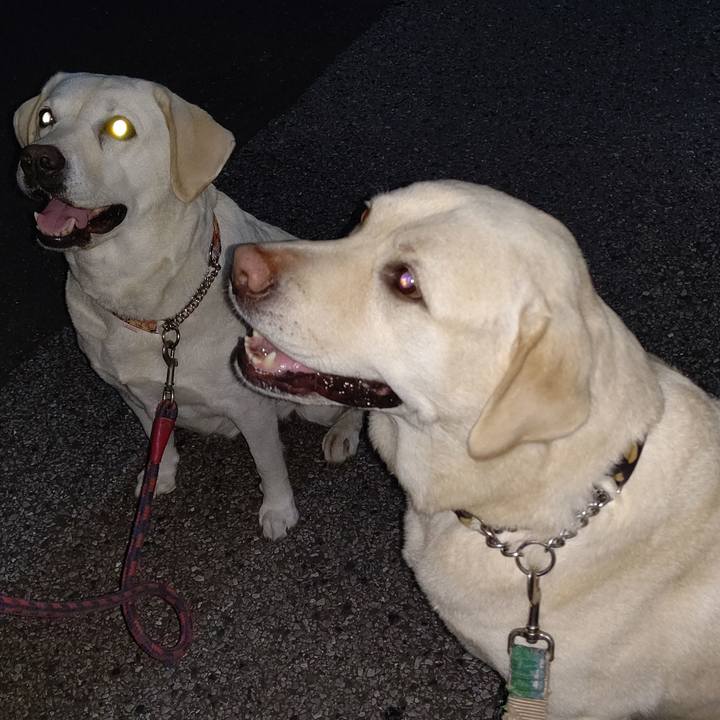 2e8aa0d3 43e2 4870 844a dbbfebb95309 1663759731034