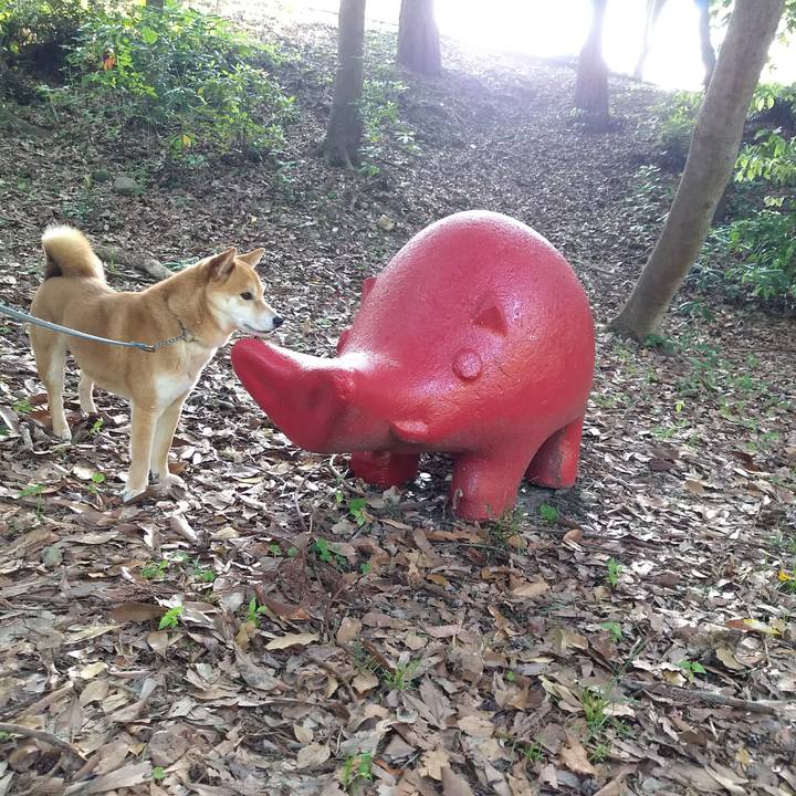 2e8b0a19 fc0c 48eb accc ea4adccbba17 1526619720073