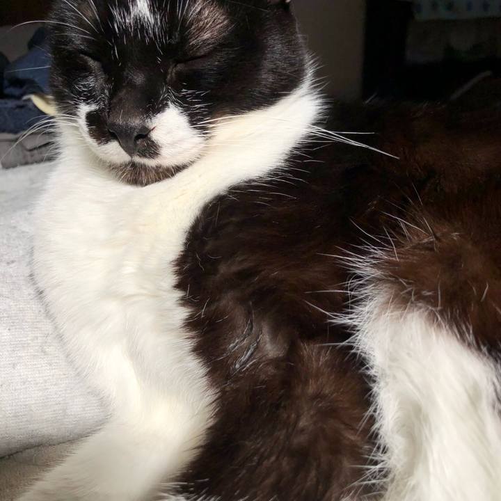 2e8b369f 6362 45eb 86be 191abea96a57 1634970566896