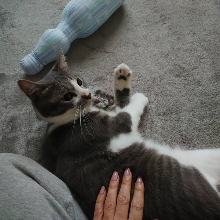 2e8b4a3b 9fd4 40a3 82f9 fe1025120a80 1595282409427