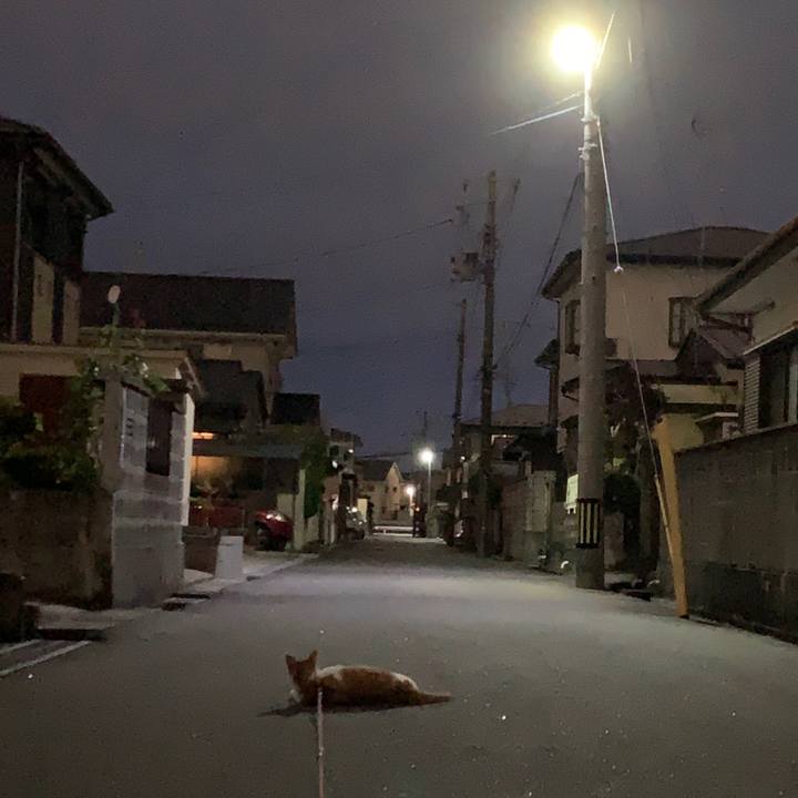 2e8b6c05 f507 407a a6da bc2c40e068d4 1594903218339