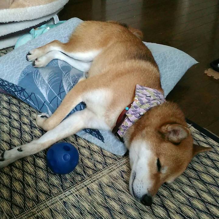 2e8b6c16 ca12 4237 8c05 f9b9419f4cce 1536543730507