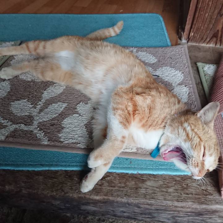 2e8b84bb 0f5d 4690 857b 5b950bd6a498 1556701910326