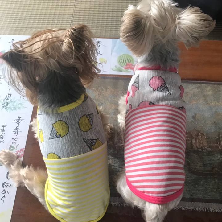 2e8b95b1 1e9b 4d87 907e 0c1d537ed80a 1562220544109