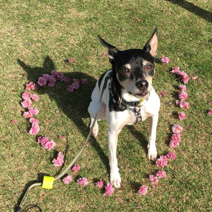 2e8bc14b 7fae 41ca 95c2 ed47fe95fb28 1763415768532