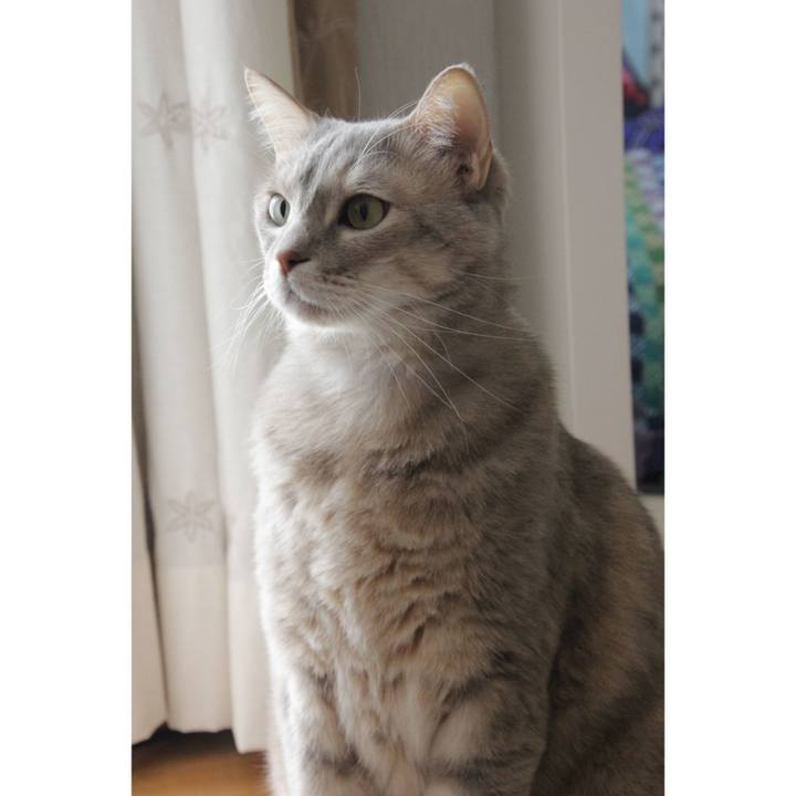 2e8bddcc d481 4234 b472 195ed2f059af 1614499589550