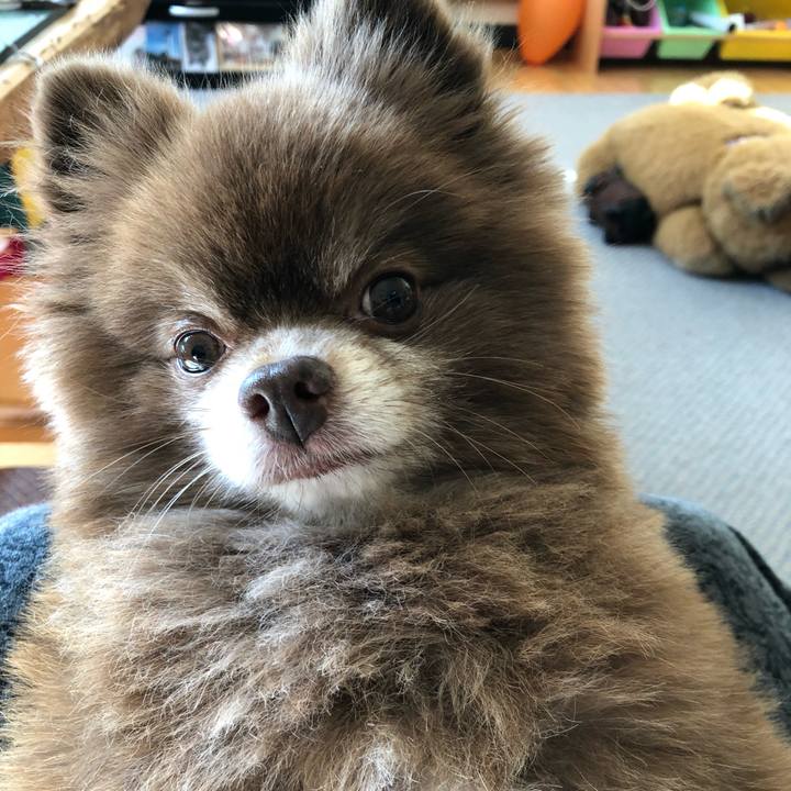 2e8bee73 f963 49b1 8618 8fcd28a259a9 1540006220430