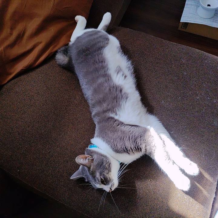 2e8bf2b6 ef8f 4193 90ad 14763998b1ab 1664356232420