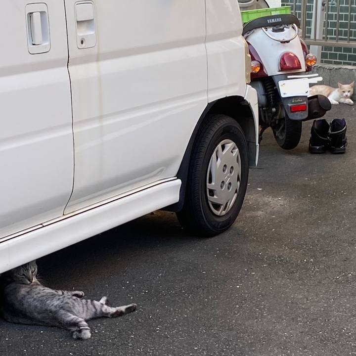 2e8c16df 59be 4e9d 85fe 294f575328d2 1666509688712