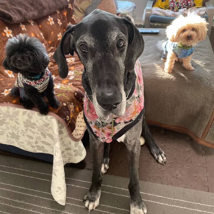 2e8c3230 112f 4e59 9d8a d658b7d5d952 1613947122946