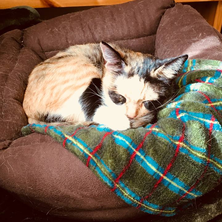 2e8c3b79 3790 4801 aab9 ad9de5bd8954 1510531635431