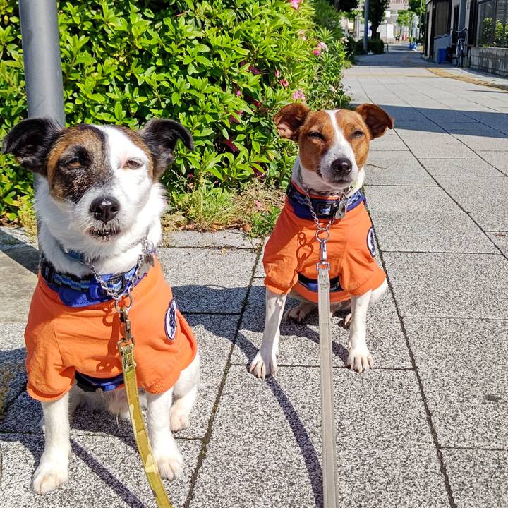 2e8c3ca7 0690 4394 8515 3b539a37b3d6 1619910949356