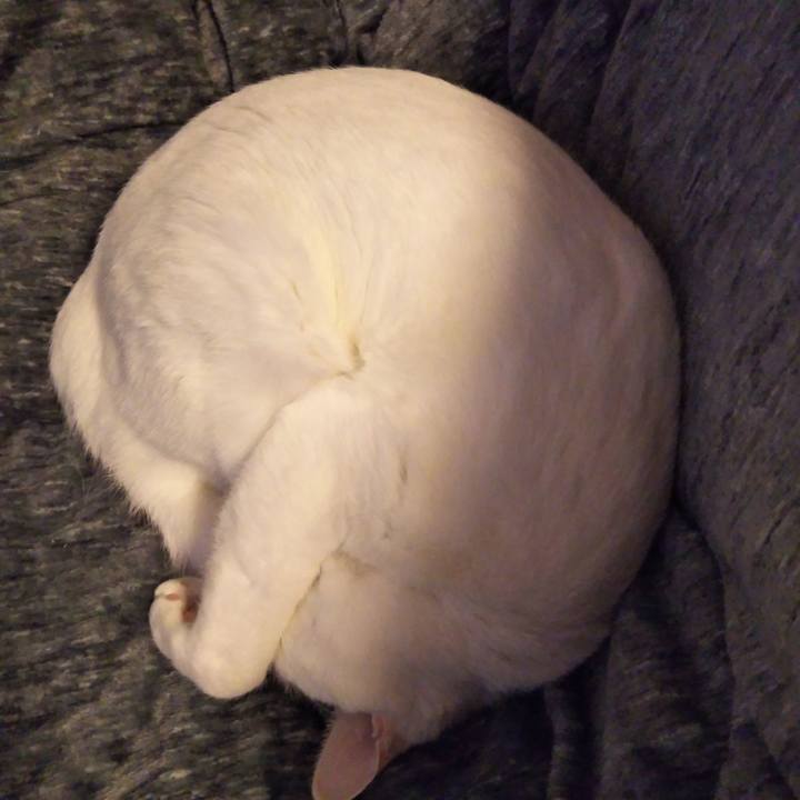 2e8c4f87 7a9f 4c50 b569 46bda35ef40c 1548485337013