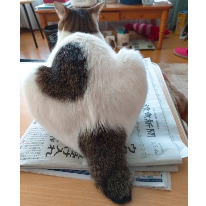 2e8c5491 c223 438c 9977 89a80cf0afcf 1741828286971