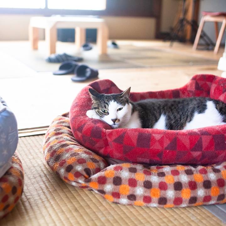 2e8c97cb 2cf3 4f6d afa2 300fcdc83586 1595294426090