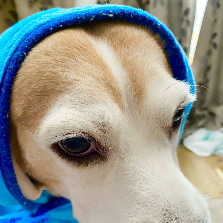 2e8ca410 9dcc 41d0 b3a3 cd7e8325140e 1604980421970