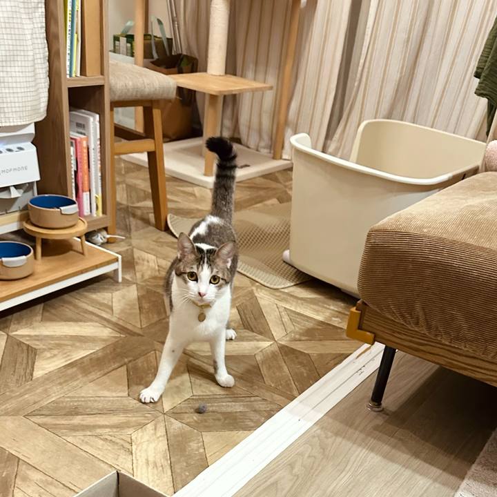 2e8cb902 9646 44ed a676 07762881676f 1765200973770