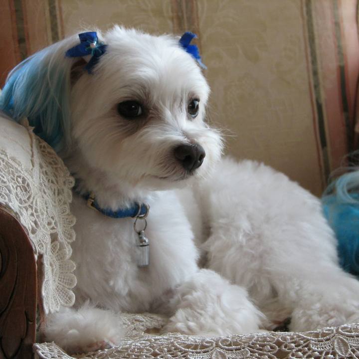 2e8ccc6f 124a 4511 822d 3ce3a4160bd2 1515073575772