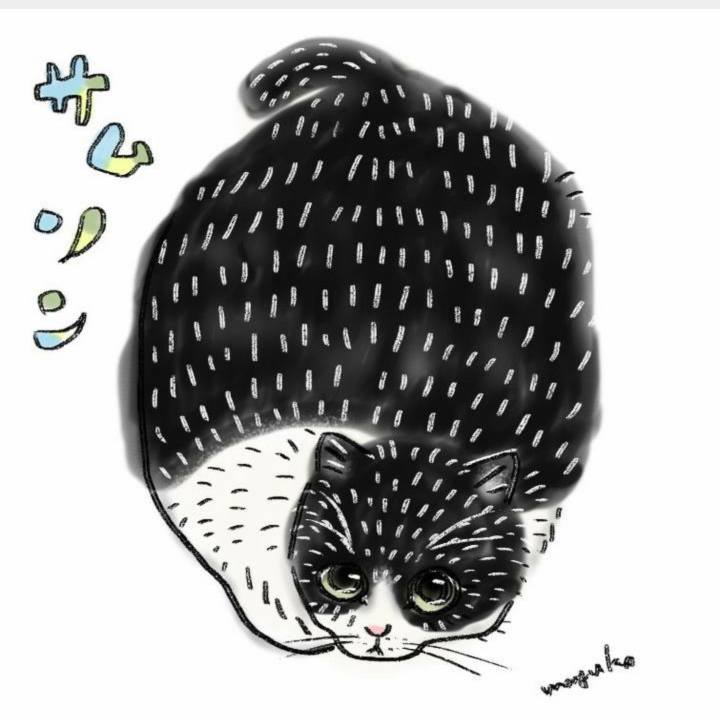 2e8cf427 cfe5 4521 a00d 15bbb8efec2d 1569315015255