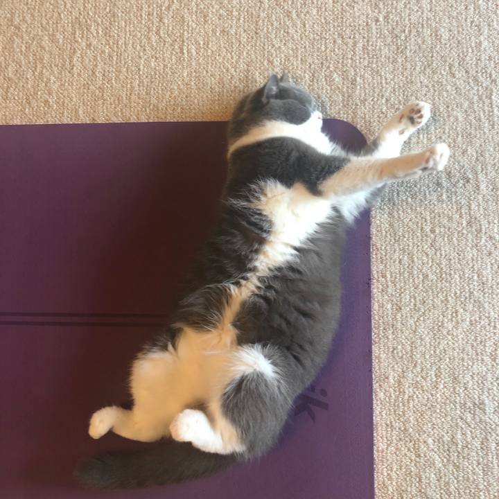 2e8cf4a5 f617 4464 b0f5 8fe5f313cf16 1593558282845