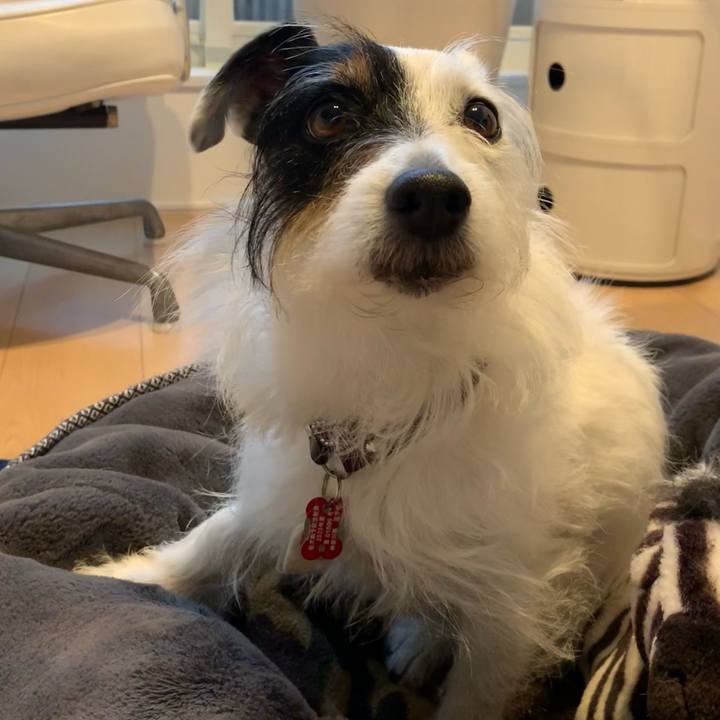 2e8cf52d 4a32 4780 8665 af1f9d8a88c8 1683790449669