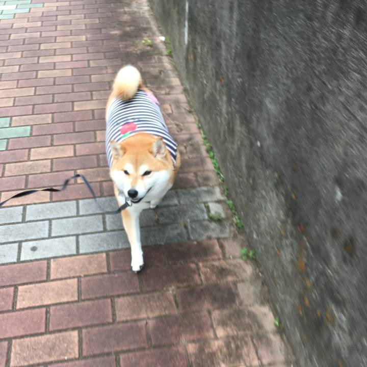 2e8d438c 8a5b 4da1 a43a 0e99e34252bf 1539399017590