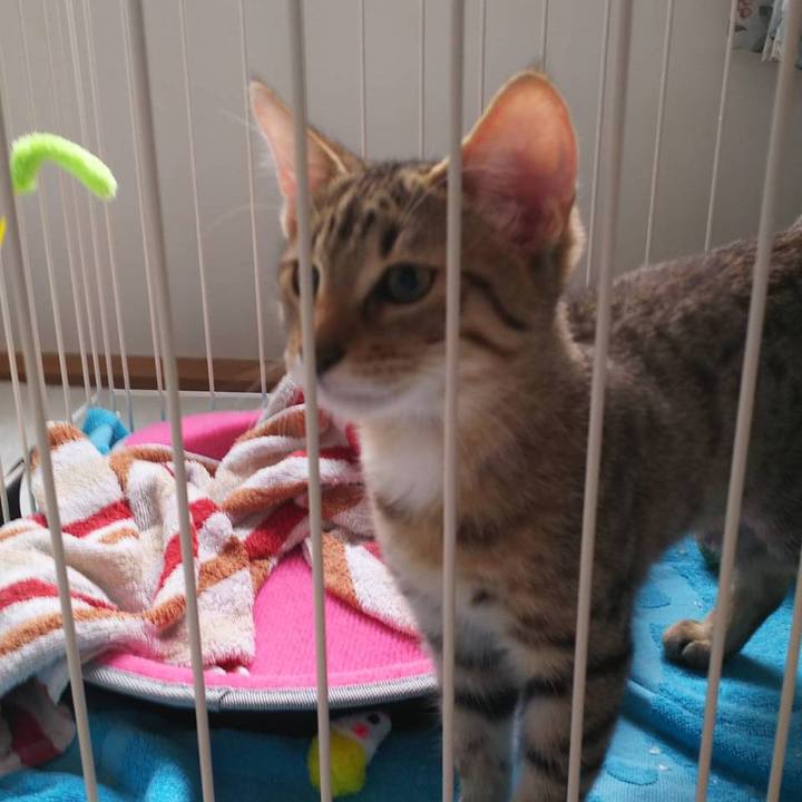 2e8d6132 409c 4b30 92d6 5c499ba87575 1568210593442