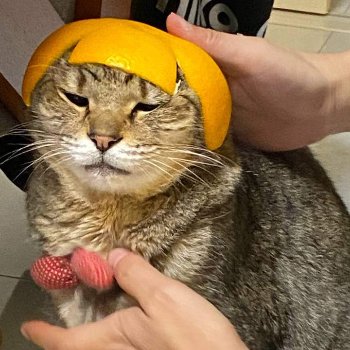 2e8dae42 fc66 4771 a2b1 2d084a6e4aa1 1590651235882